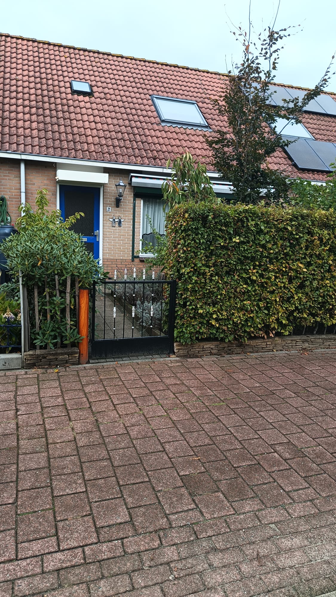 Pinksterbloem 21, 8081 DE Elburg, Nederland