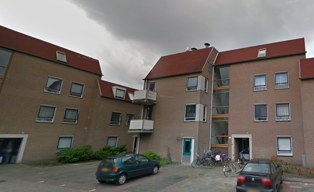 Helmbloemmeen 105
