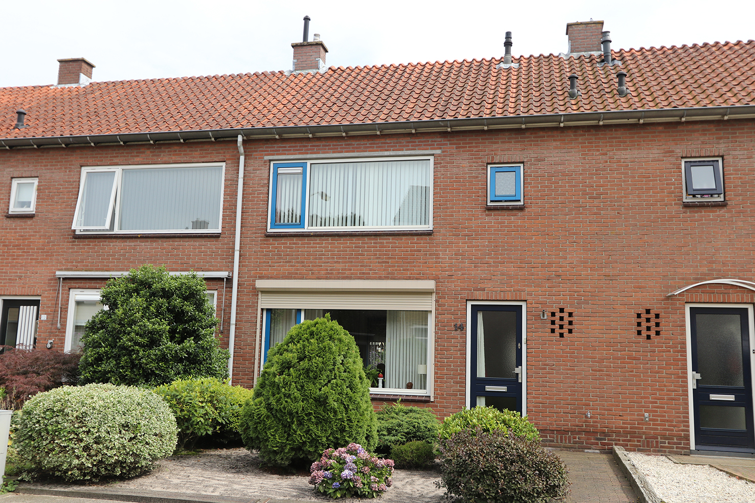 Ligusterstraat 14