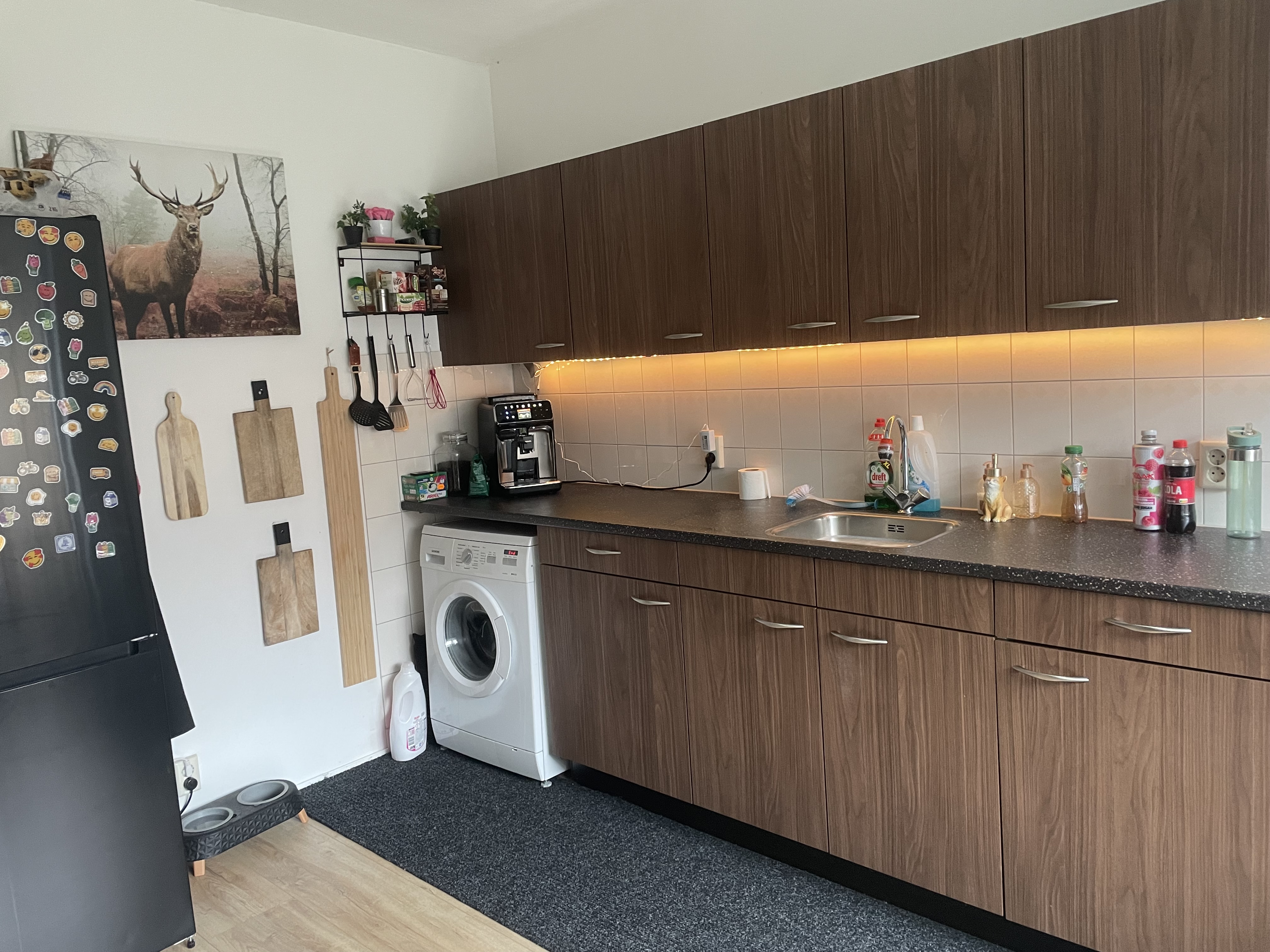 Mackaystraat 118