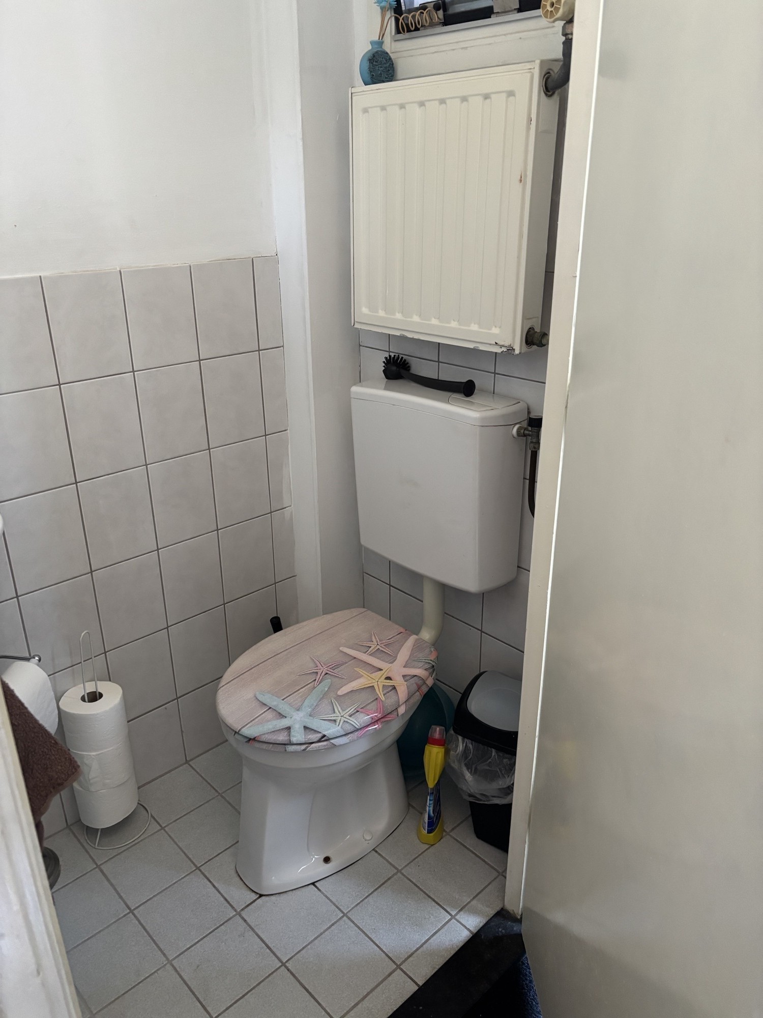 Cotoneasterstraat 28