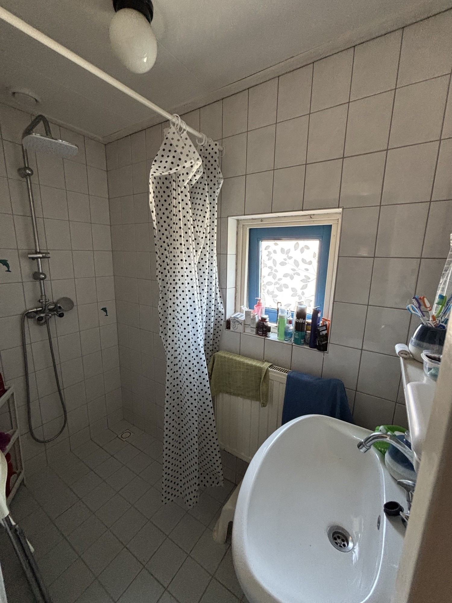 Cotoneasterstraat 28