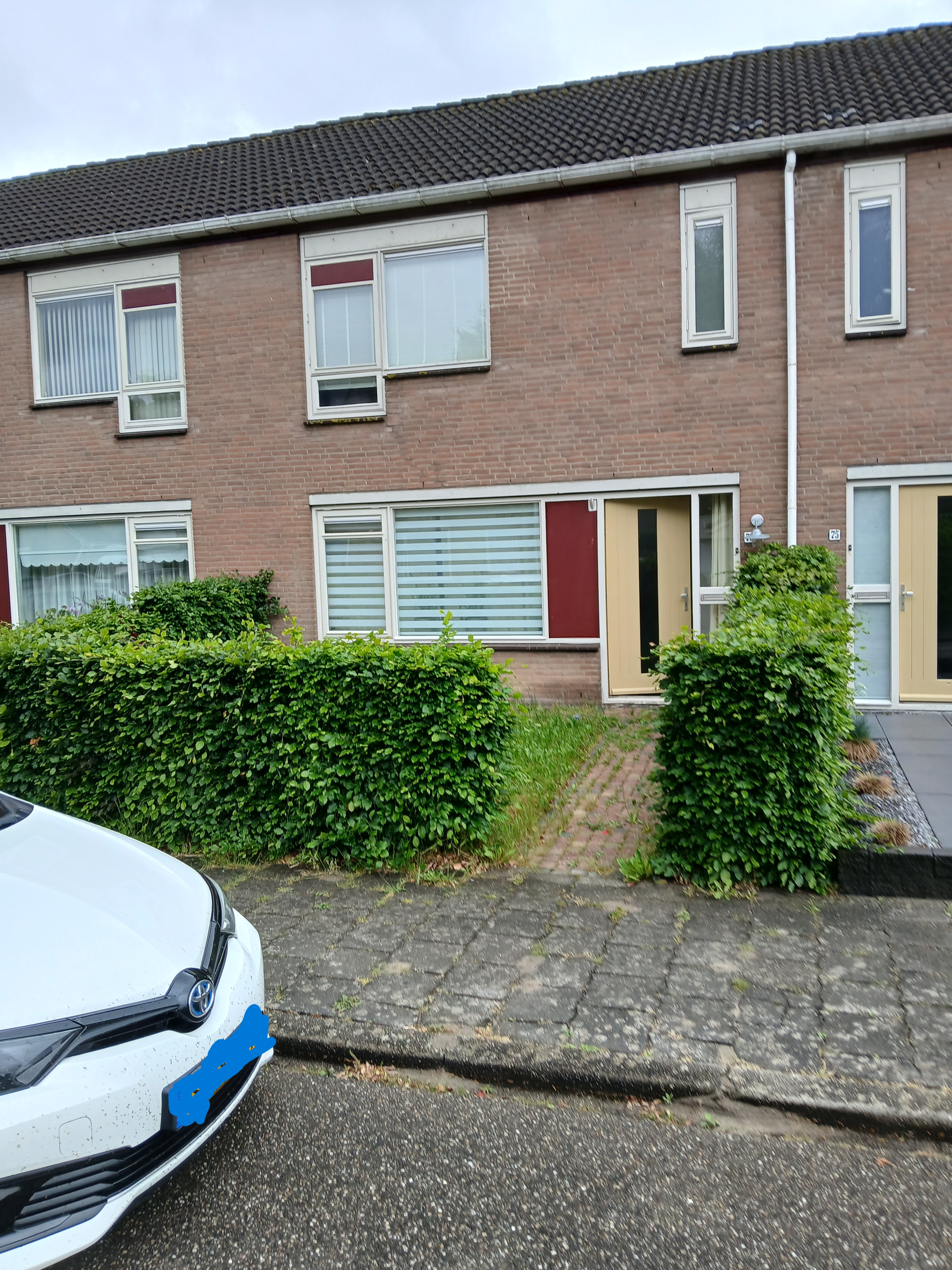Pluutstraat 73, 8081 MG Elburg, Nederland