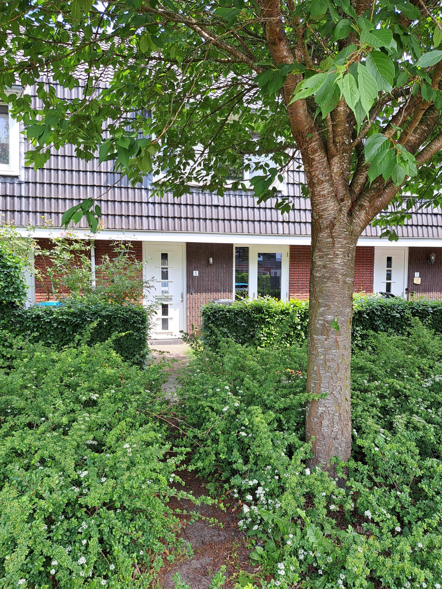 Tripklomp 5, 8077 TL Hulshorst, Nederland