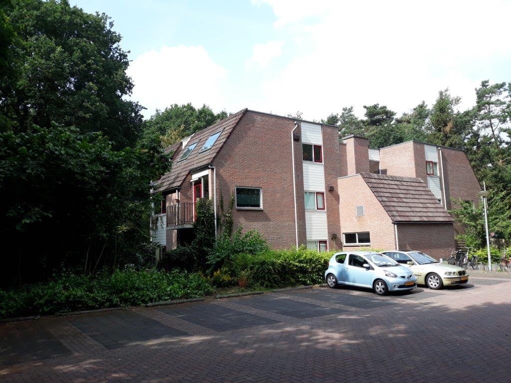 Leeuwerikstraat 137, 3853 AC Ermelo, Nederland