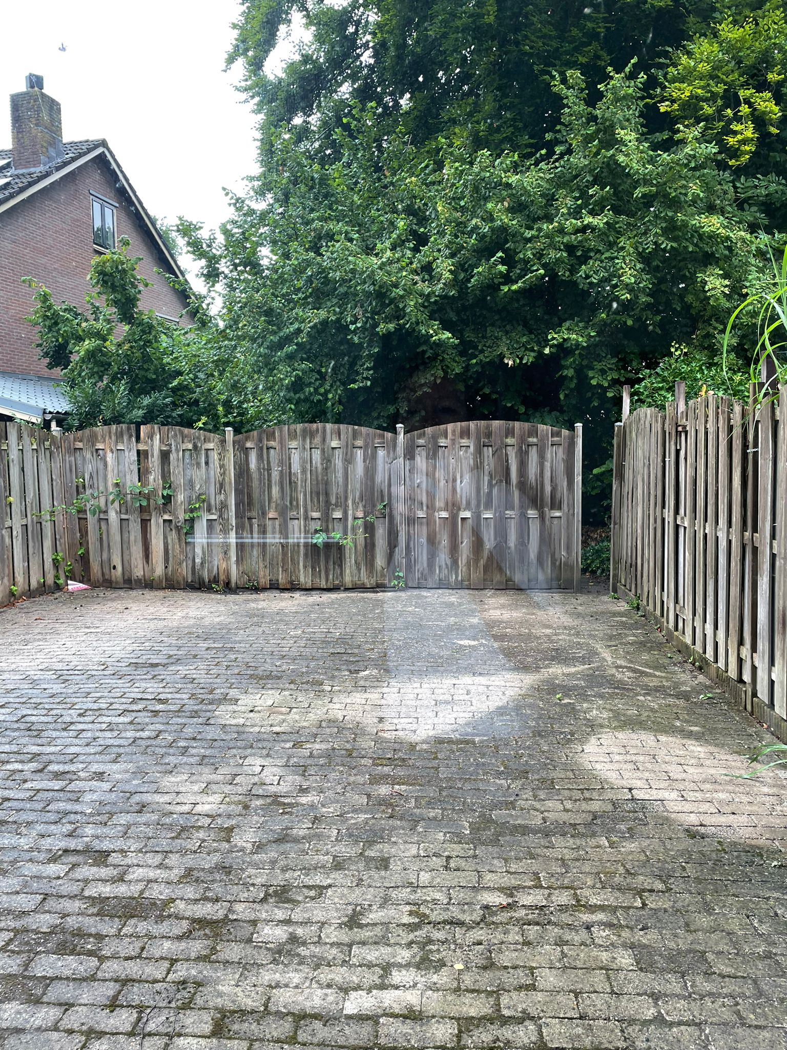 Mauvekant 48