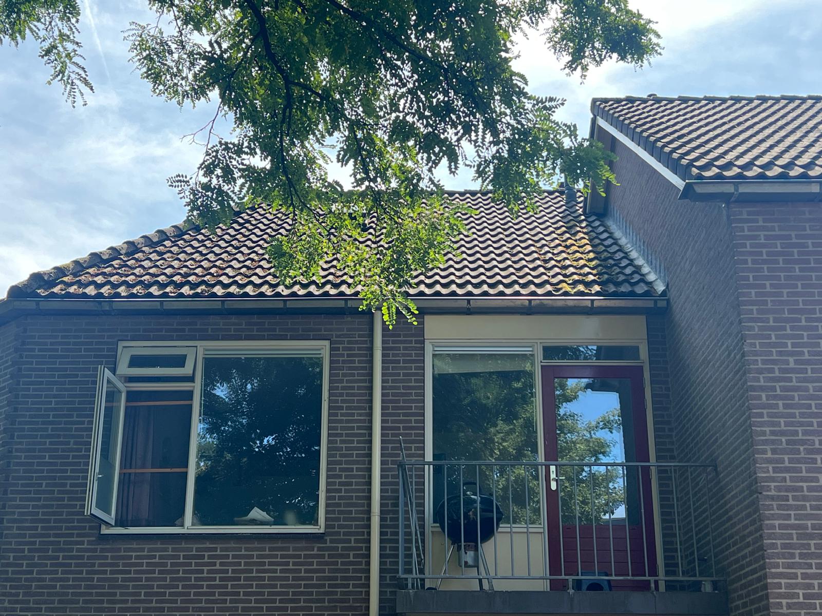 Verbruggenstraat 5