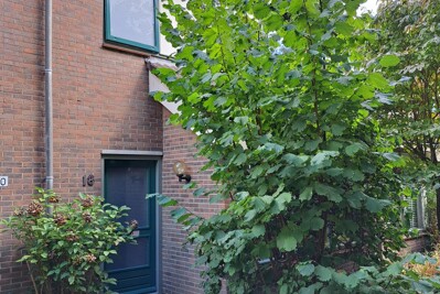 Uitleg 18