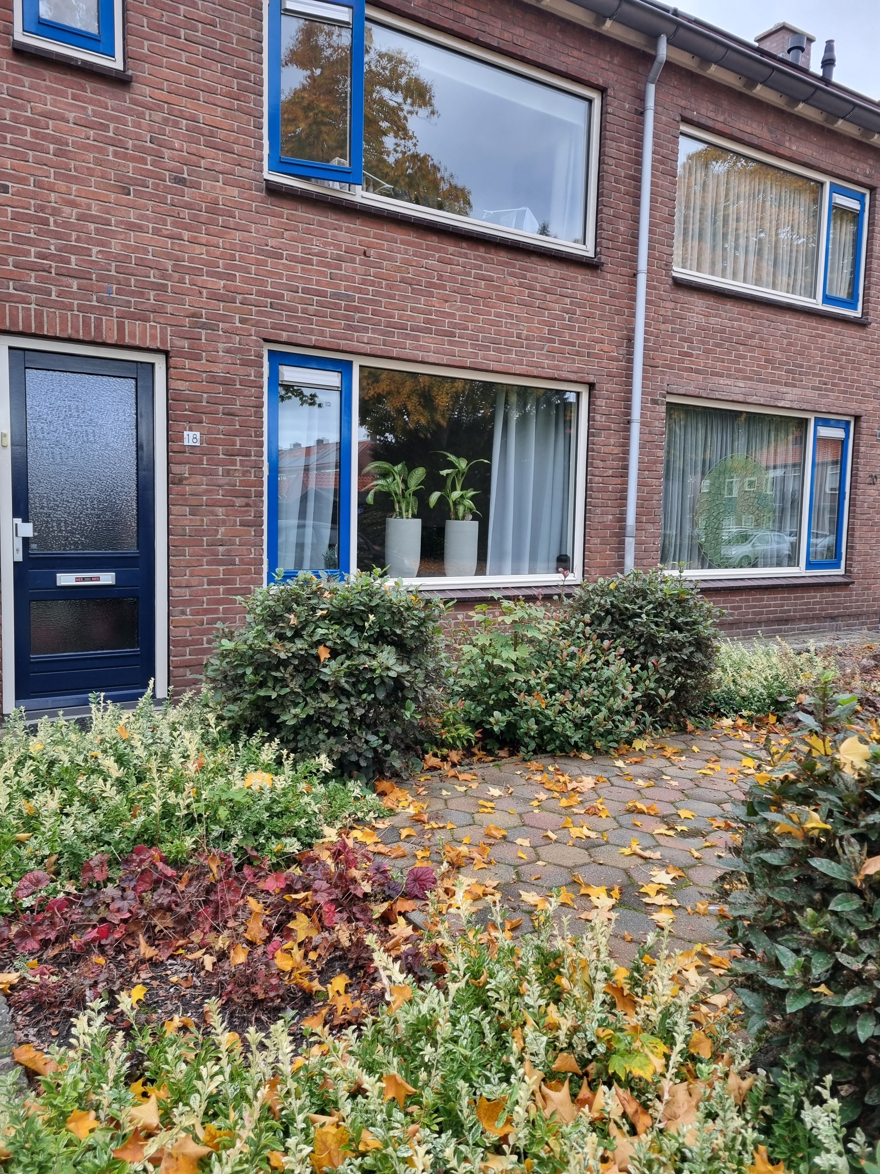 Cotoneasterstraat 18, 8091 TV Wezep, Nederland