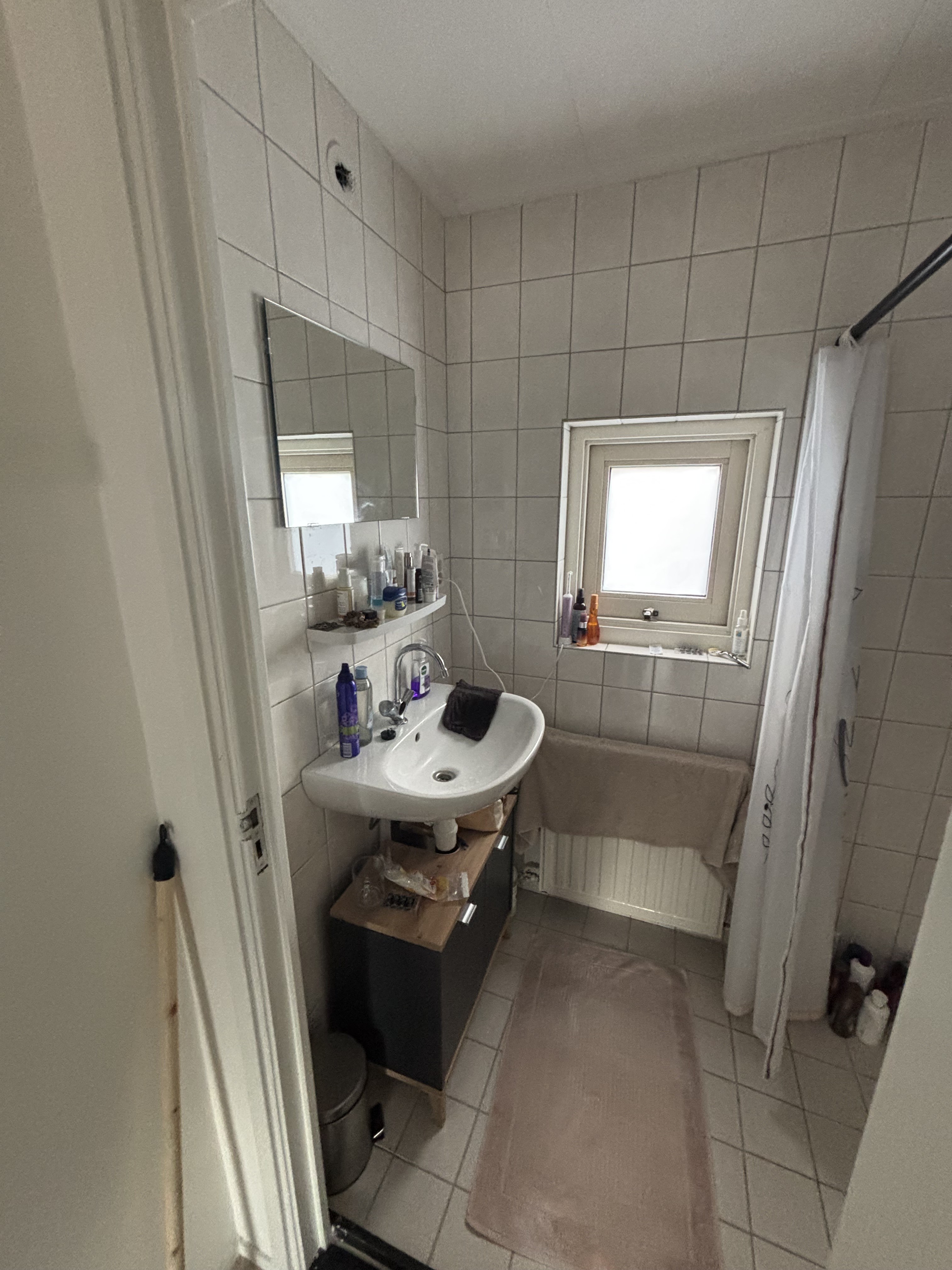 Cotoneasterstraat 18