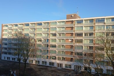 Goeman Borgesiuslaan 275