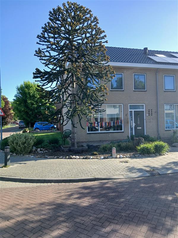 Luttekenstraat 11, 8081 XL Elburg, Nederland