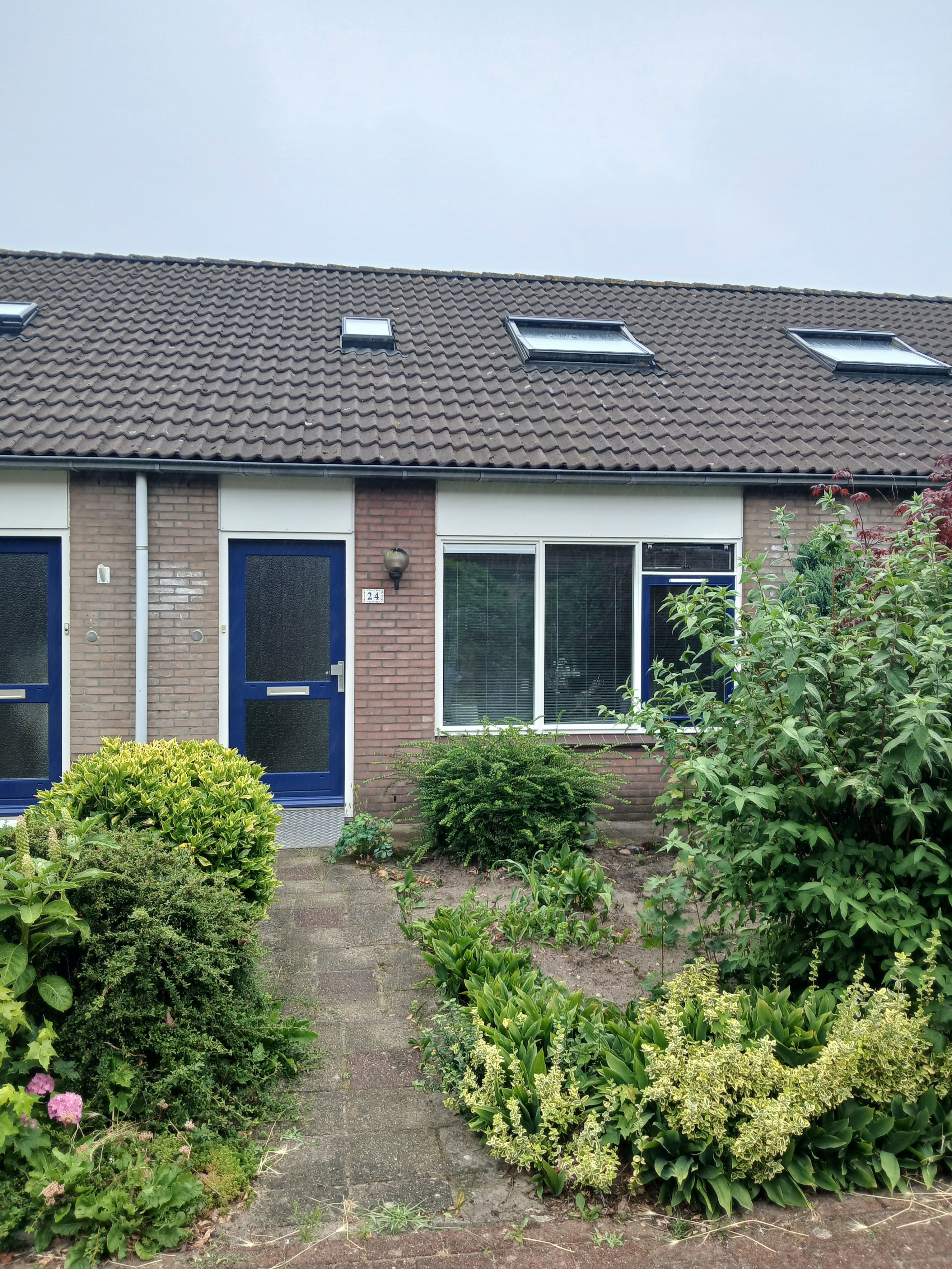 Pinksterbloem 24, 8081 DD Elburg, Nederland