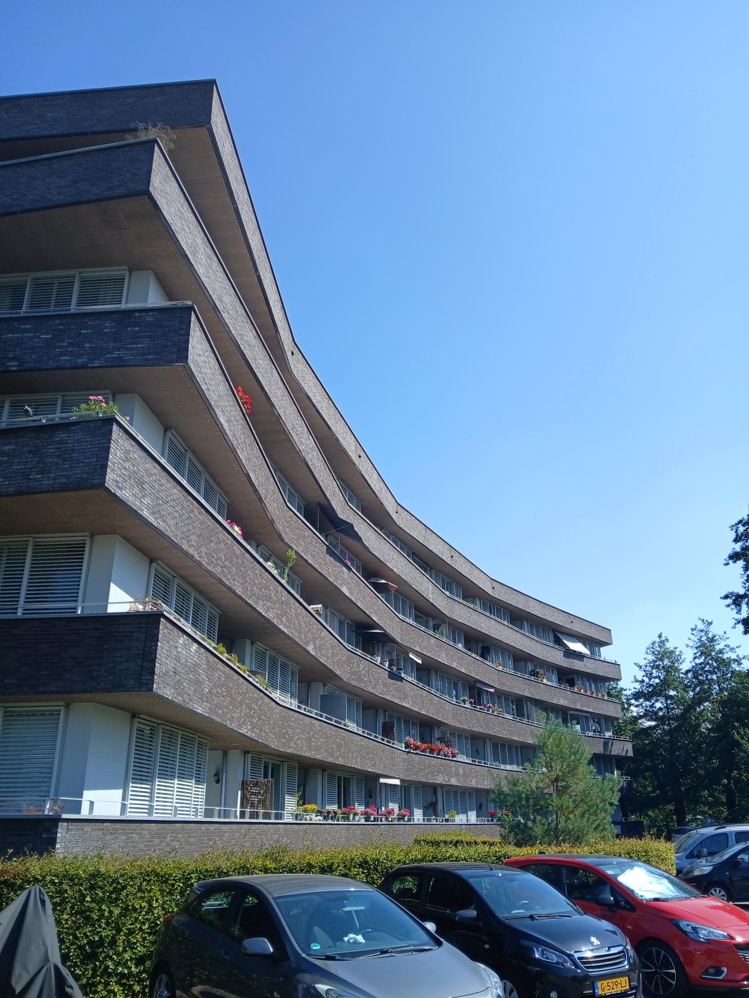 Salentijnerhout 11