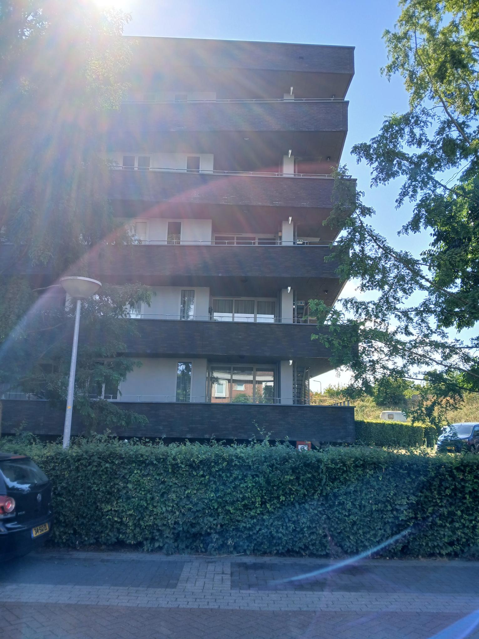 Salentijnerhout 11, 3845 ES Harderwijk, Nederland